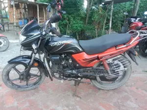 হিরো ২০১০ গ্রে