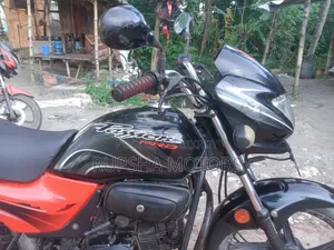 হিরো ২০১০ গ্রে