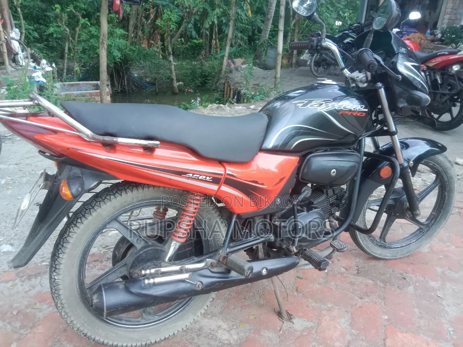 হিরো ২০১০ গ্রে