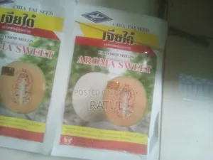 Foreign Fruit Sammam (Rockmelon)