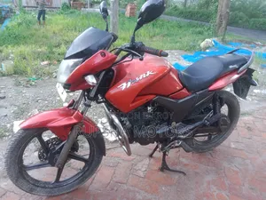 Hero Hunk 2010 Red