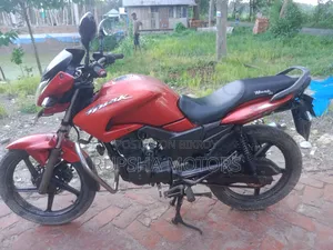 Hero Hunk 2010 Red