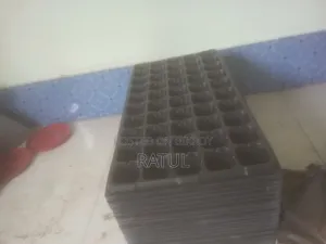 সিড লিং ট্রে ৫০ সেলের বড সাইজ