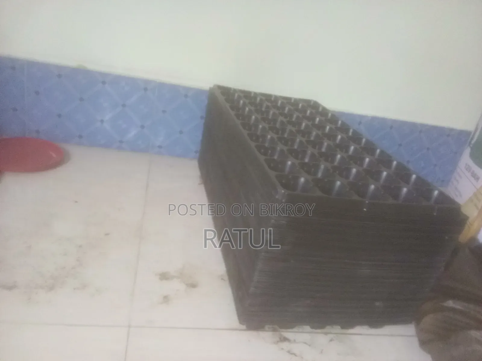 Seedling Tray 50 Cell Big Size