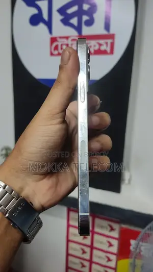 Apple iPhone 12 Pro Max 256 GB White