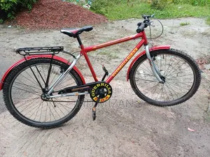 Ranger Mix Bicycle