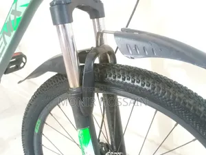 Phoenix Bicycle for Sale