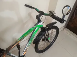 Phoenix Bicycle for Sale