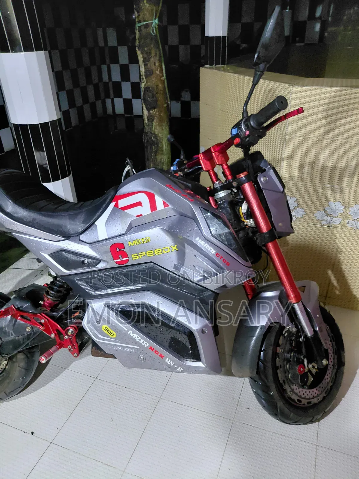Salida ZY 2025 Silver
