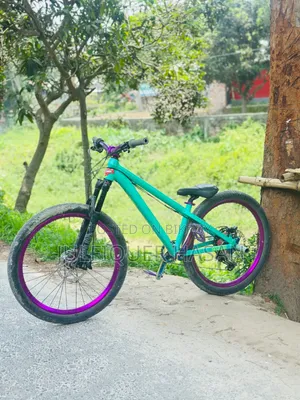Stunt Cycle