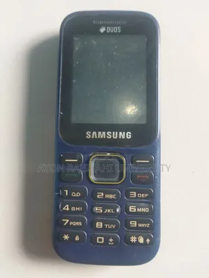 Samsung Guru Music 2 Blue