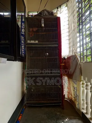 কেজ ২৪/১৮ সাইজ রড ফ্রেমের