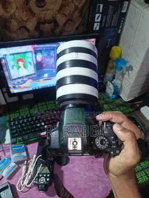 ক্যামেরা সল