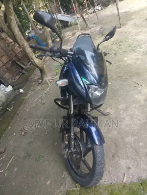 Bajaj Pulsar 150 2017 Gray
