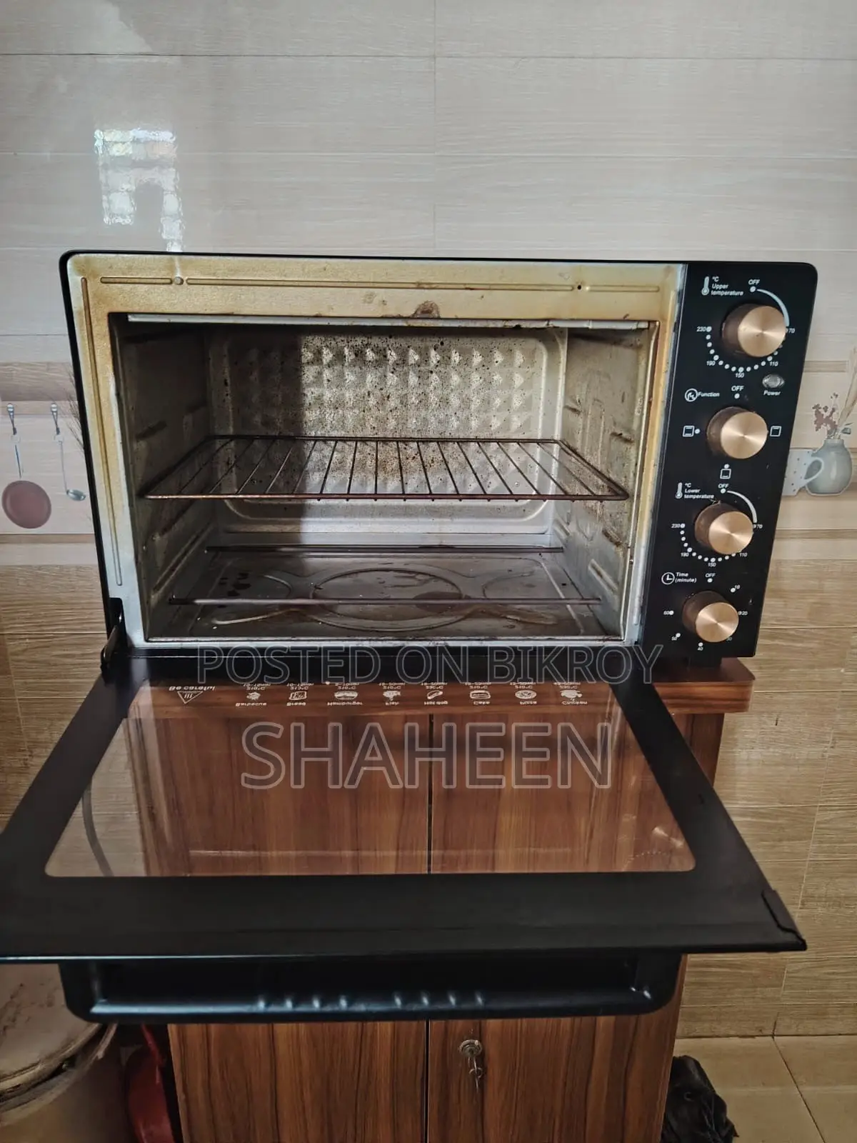 Electric Oven