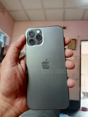 অ্যাপল আইফোন ১২ প্রো ২৫৬ জিবি গ্রাফাইট