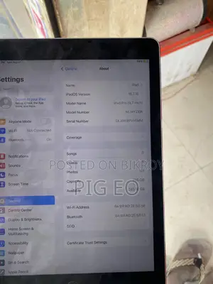 Apple iPad 9.7 256 GB Silver