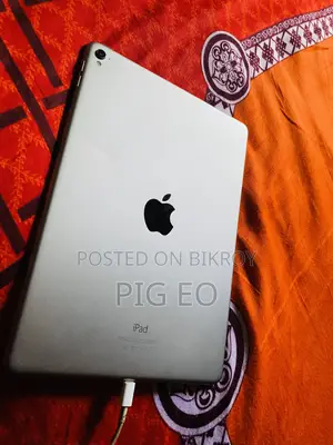 Apple iPad 9.7 256 GB Silver