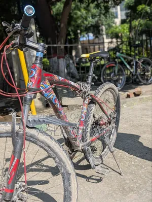 বাই সাইকেল