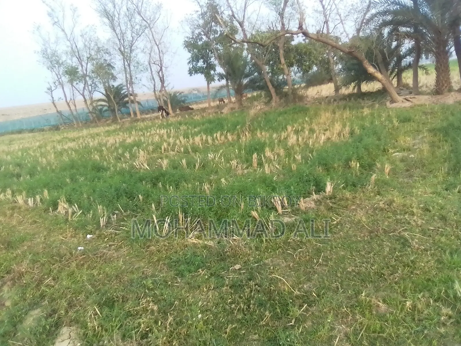 জমি বিক্রয়