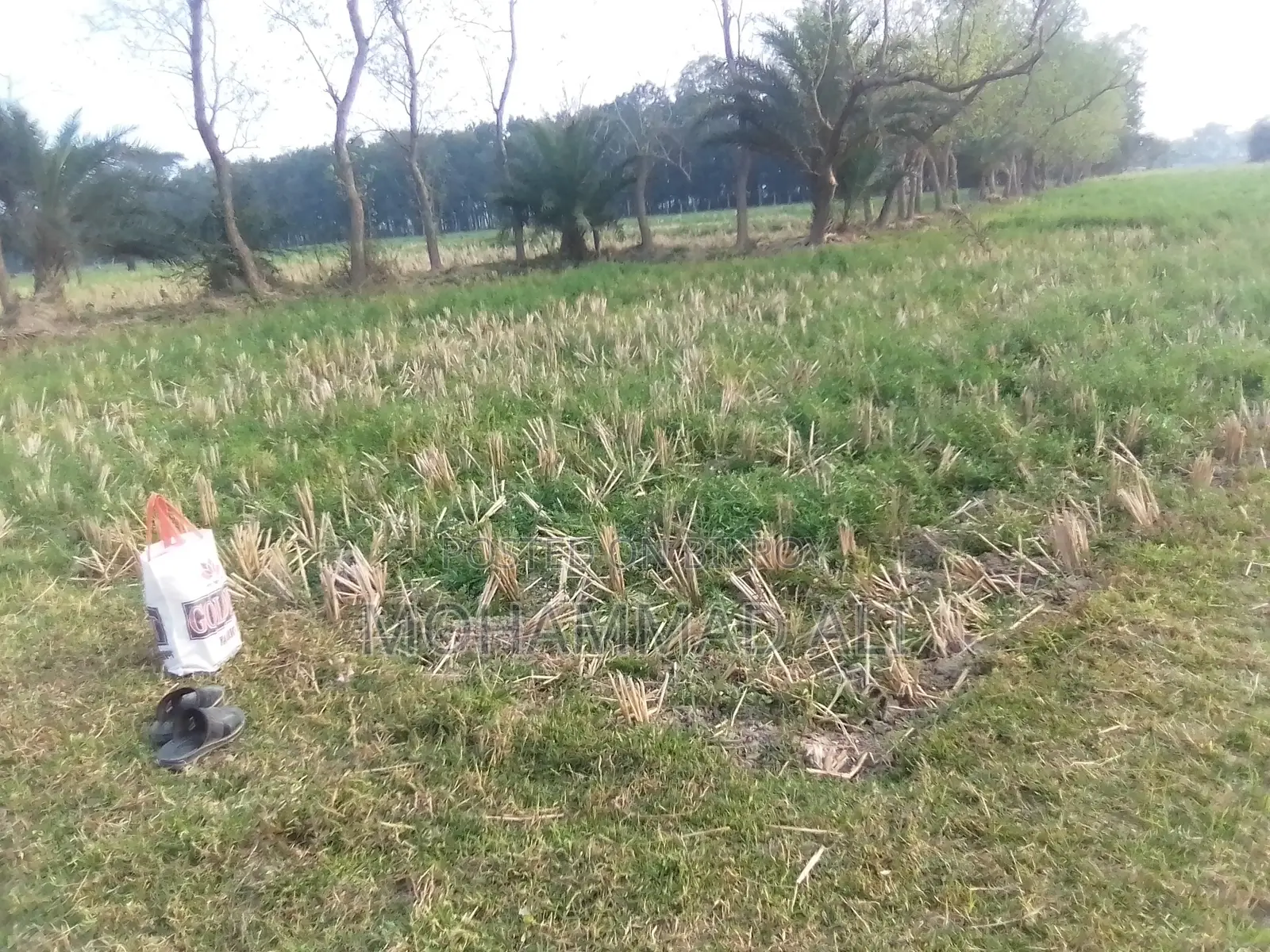 জমি বিক্রয়
