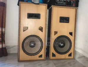 2 12-inch Speakers