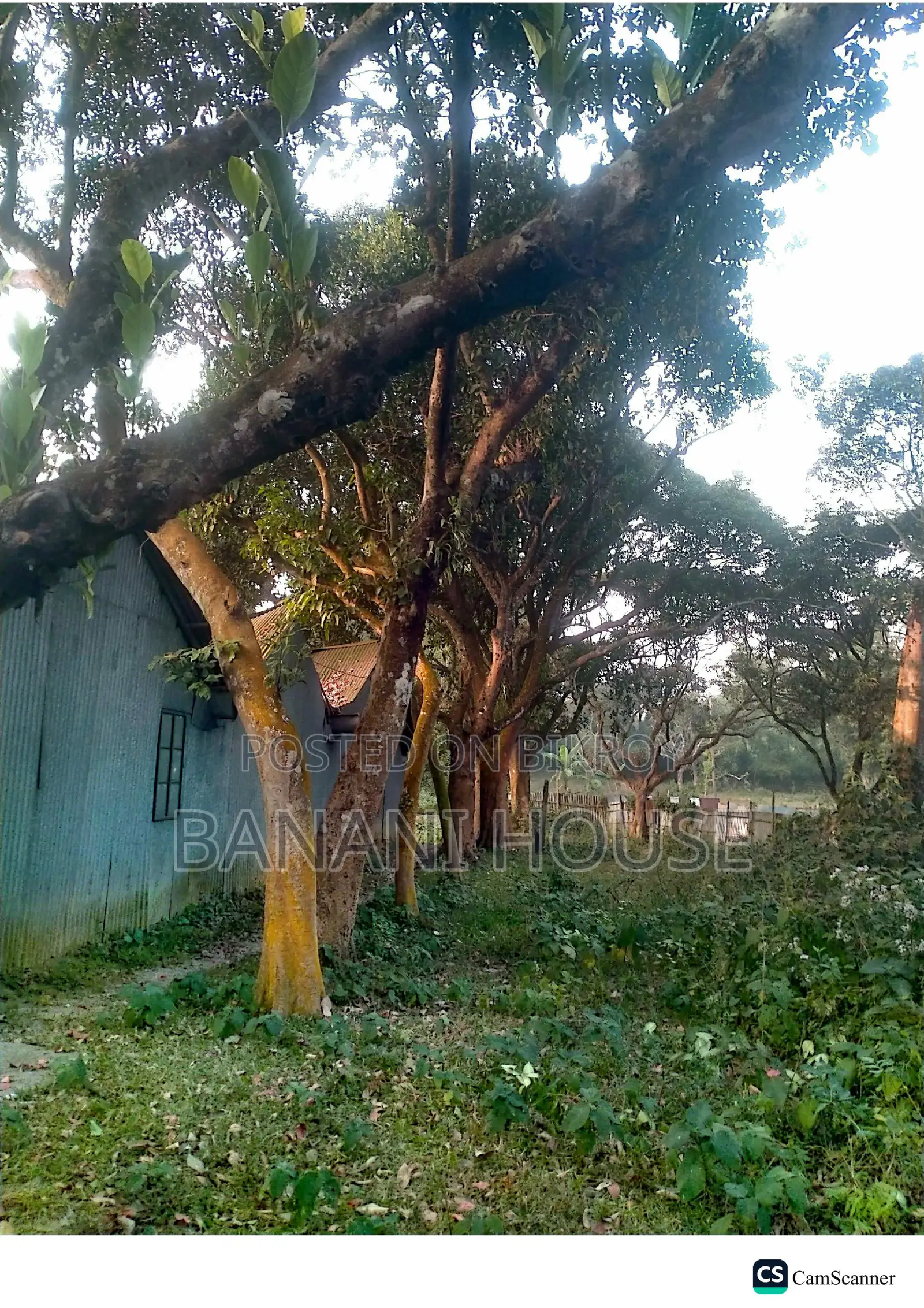 418 Decimals of Land with House for Sale in Srishtighar, Narsingdi