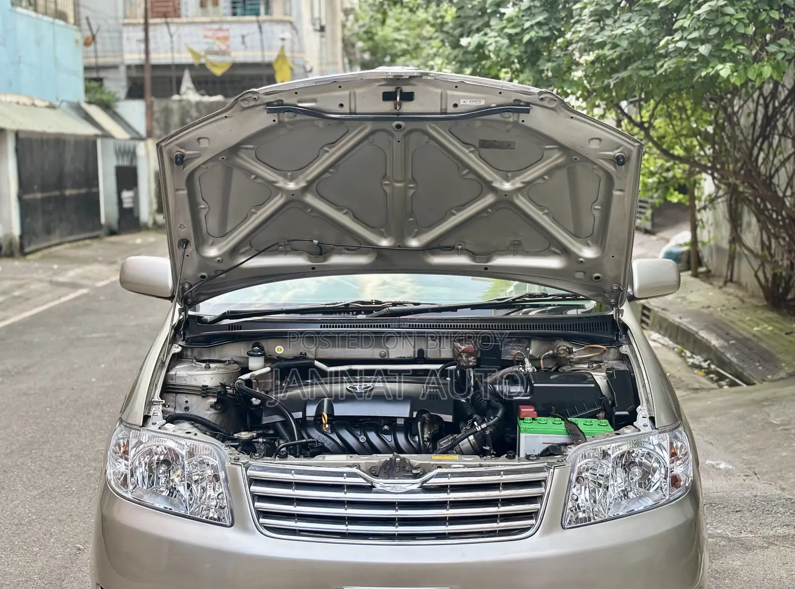Toyota Corolla 2004 Beige