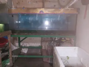 ফিশ অ্যাকুরিয়াম