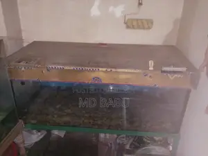 ফিশ অ্যাকুরিয়াম