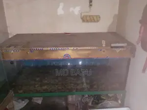ফিশ অ্যাকুরিয়াম