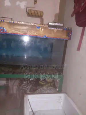 ফিশ অ্যাকুরিয়াম