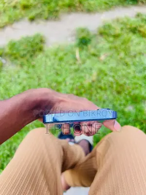 অ্যাপল আইফোন ১৩ প্রো ম্যাক্স ১২৮ জিবি নীল
