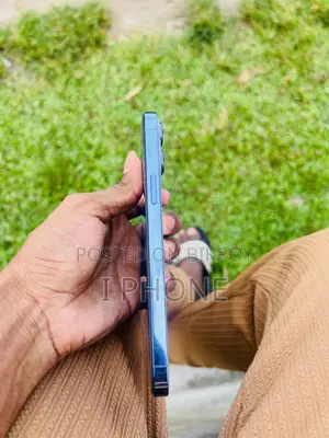 অ্যাপল আইফোন ১৩ প্রো ম্যাক্স ১২৮ জিবি নীল
