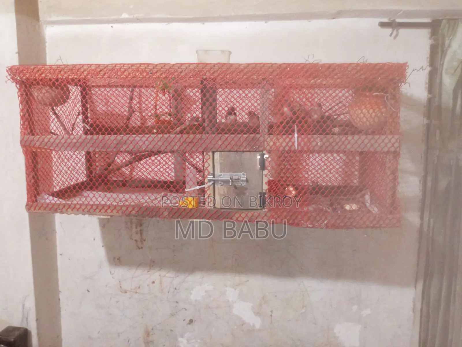 Prince Bird Home Made Cage