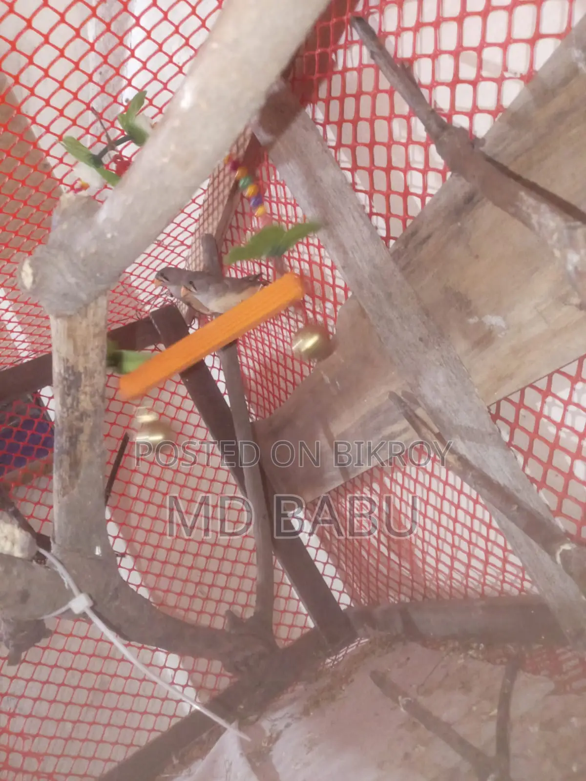 Prince Bird Home Made Cage