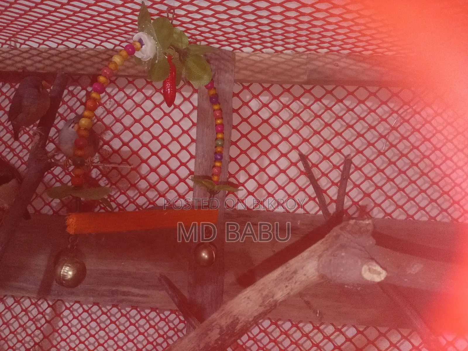 Prince Bird Home Made Cage