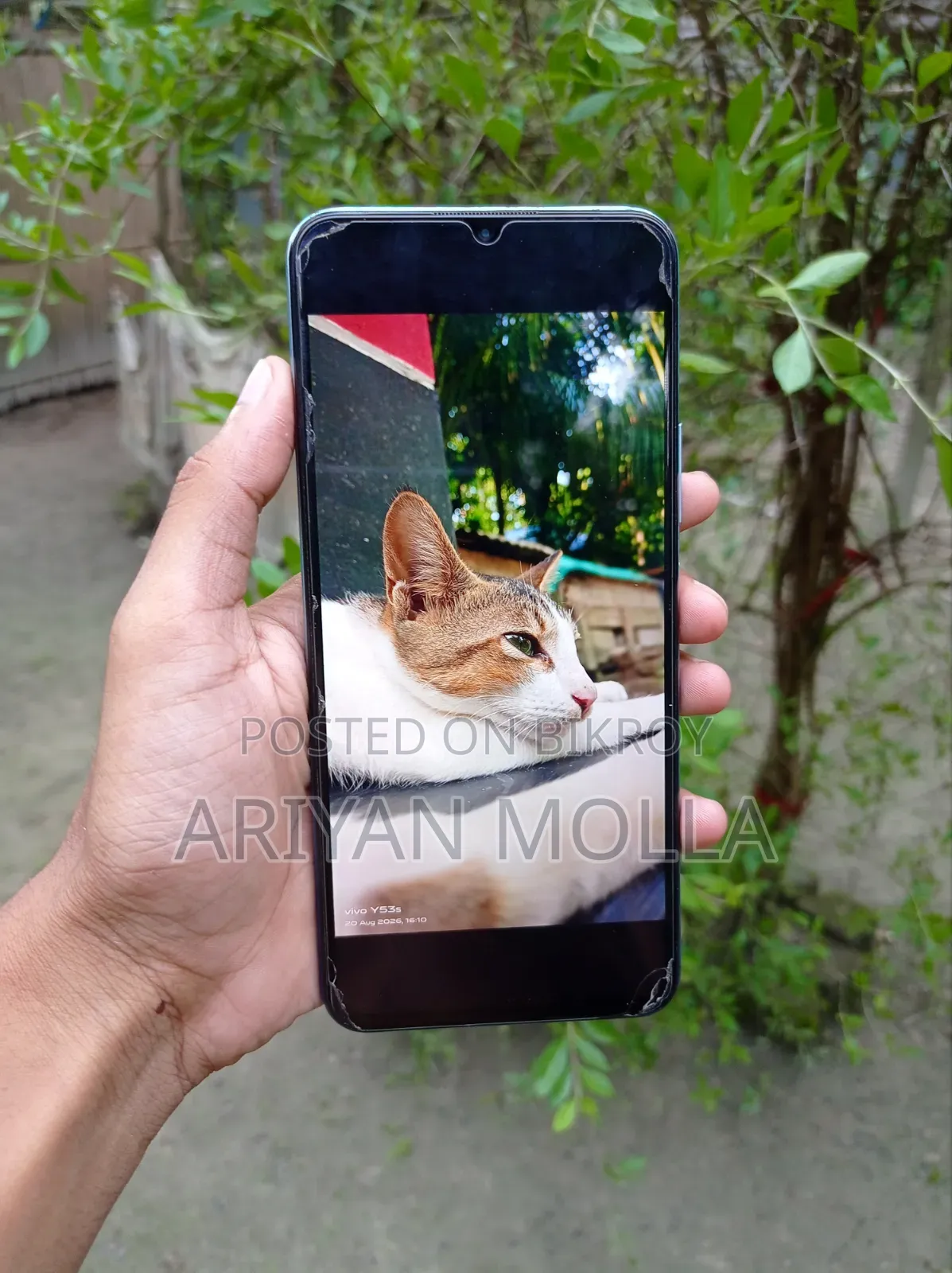 Vivo Y53s 128 GB Orange
