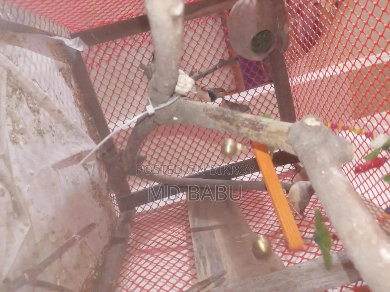 Prince Bird Home Made Cage