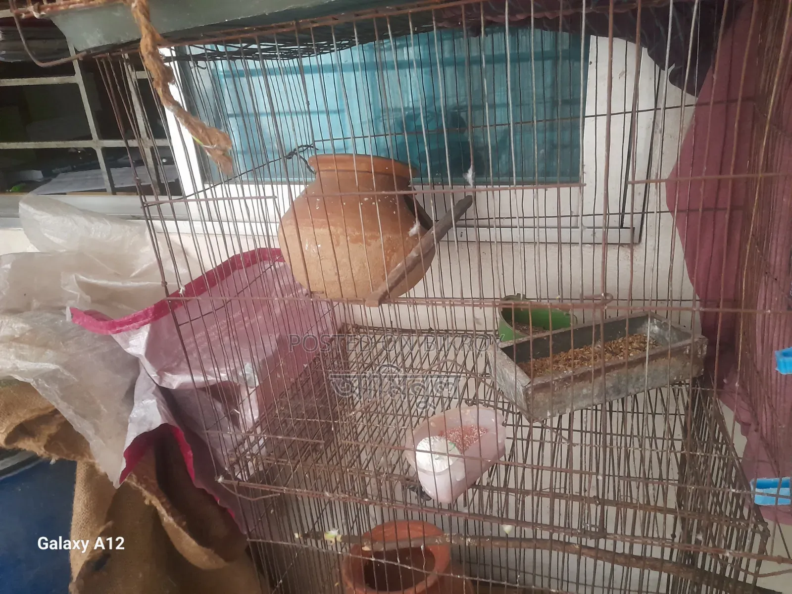 ২ টি পাখির খাচা বিক্রি হবে