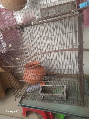 ২ টি পাখির খাচা বিক্রি হবে