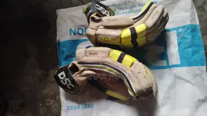 DSC Cricket Gloves