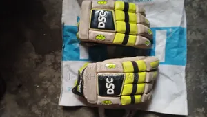 DSC Cricket Gloves