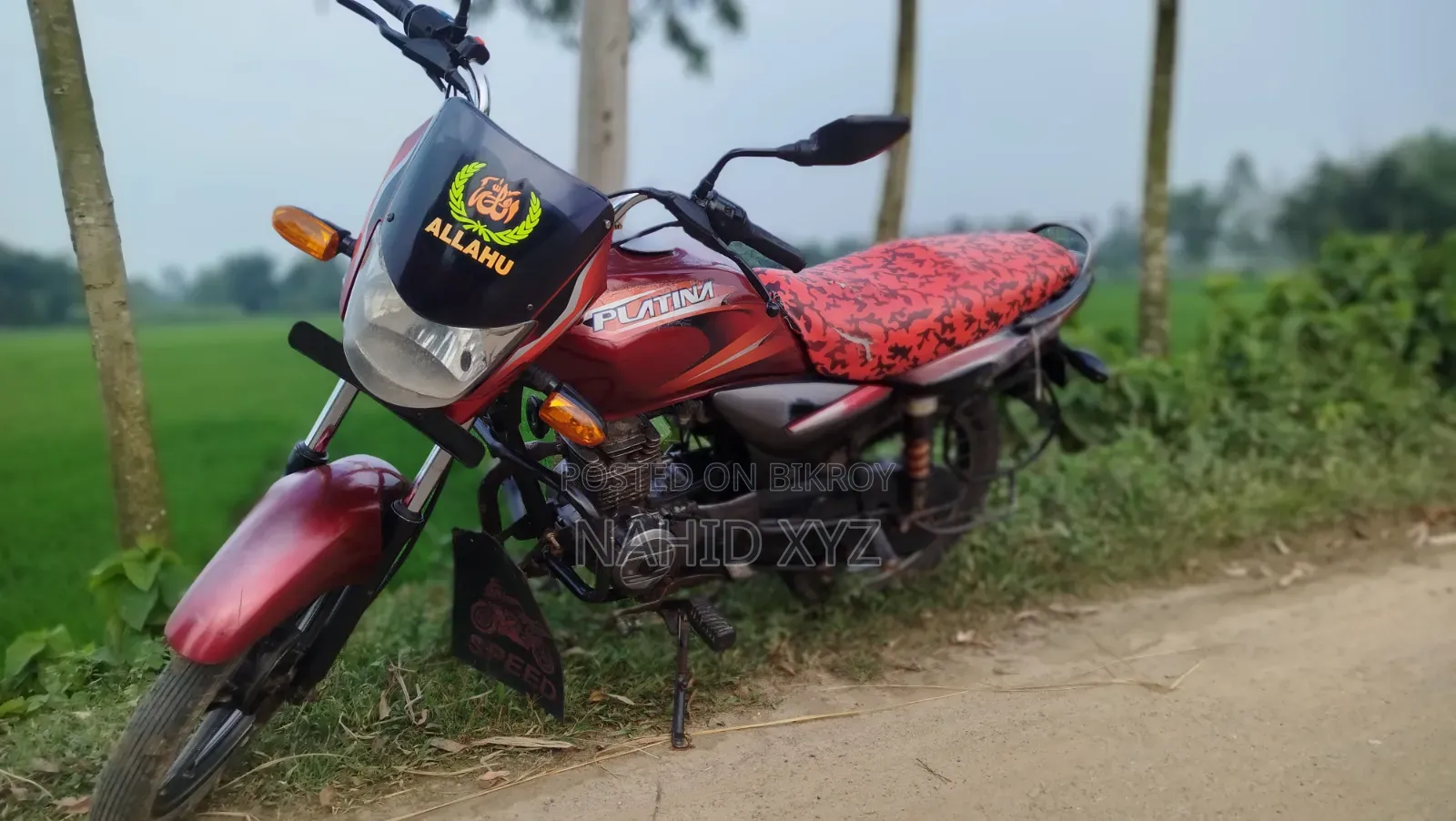 Bajaj Platina 100 2009 Red