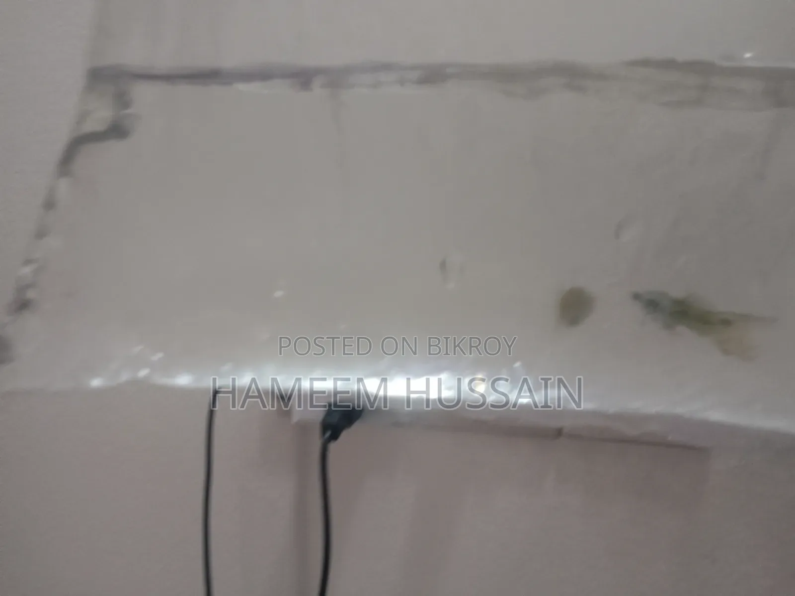 ৬টি বাচ্চা সহ ফ্যােন্সি মাস্টার পেয়ার গুপি মাছ