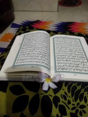 আরবী পড়াতে চাই