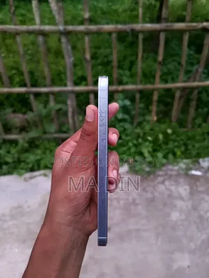 Samsung Galaxy A55 256 GB