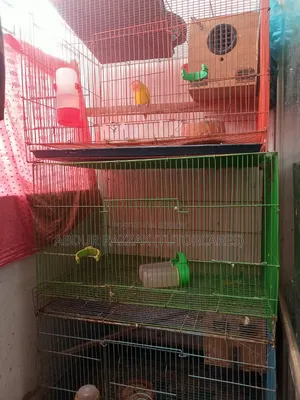 চীন দেশের ফোল্ডিং খাঁচা