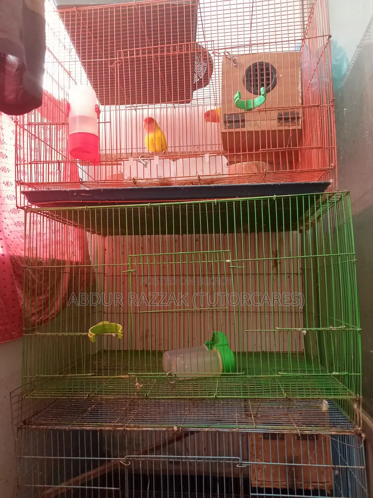 চীন দেশের ফোল্ডিং খাঁচা