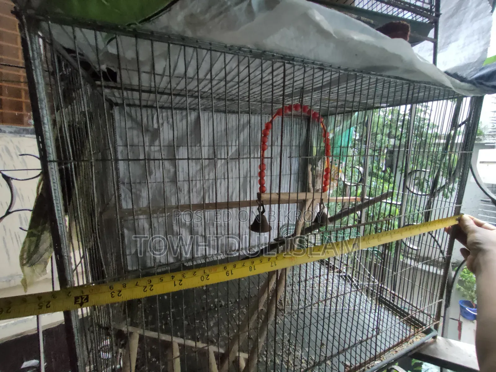 18 by 24 Inch Cage and Box with Specified Measurements Including Swing and Ladder